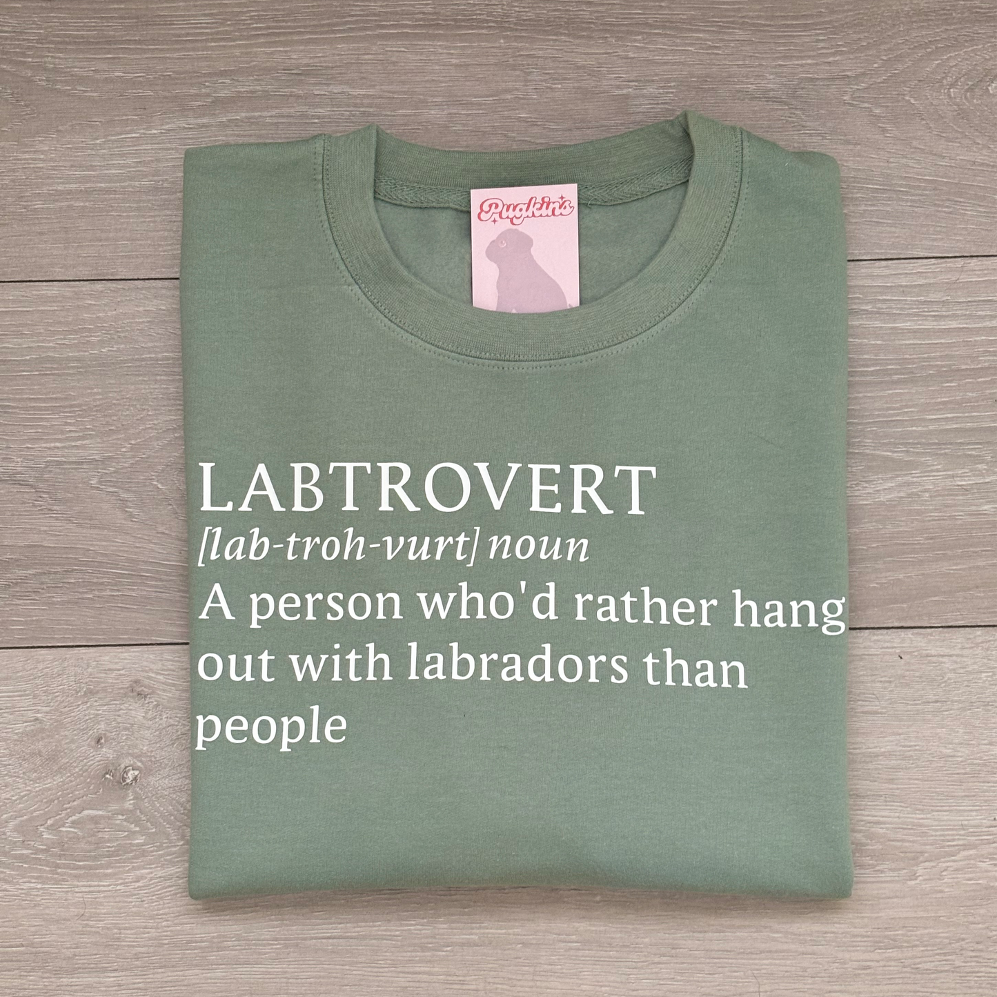 Dogtrovert Sweatshirt