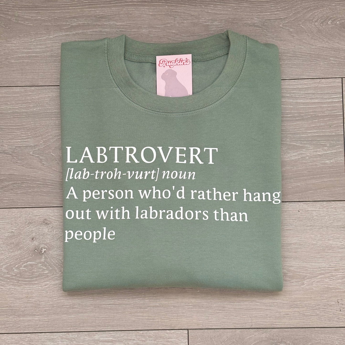 Dogtrovert Sweatshirt