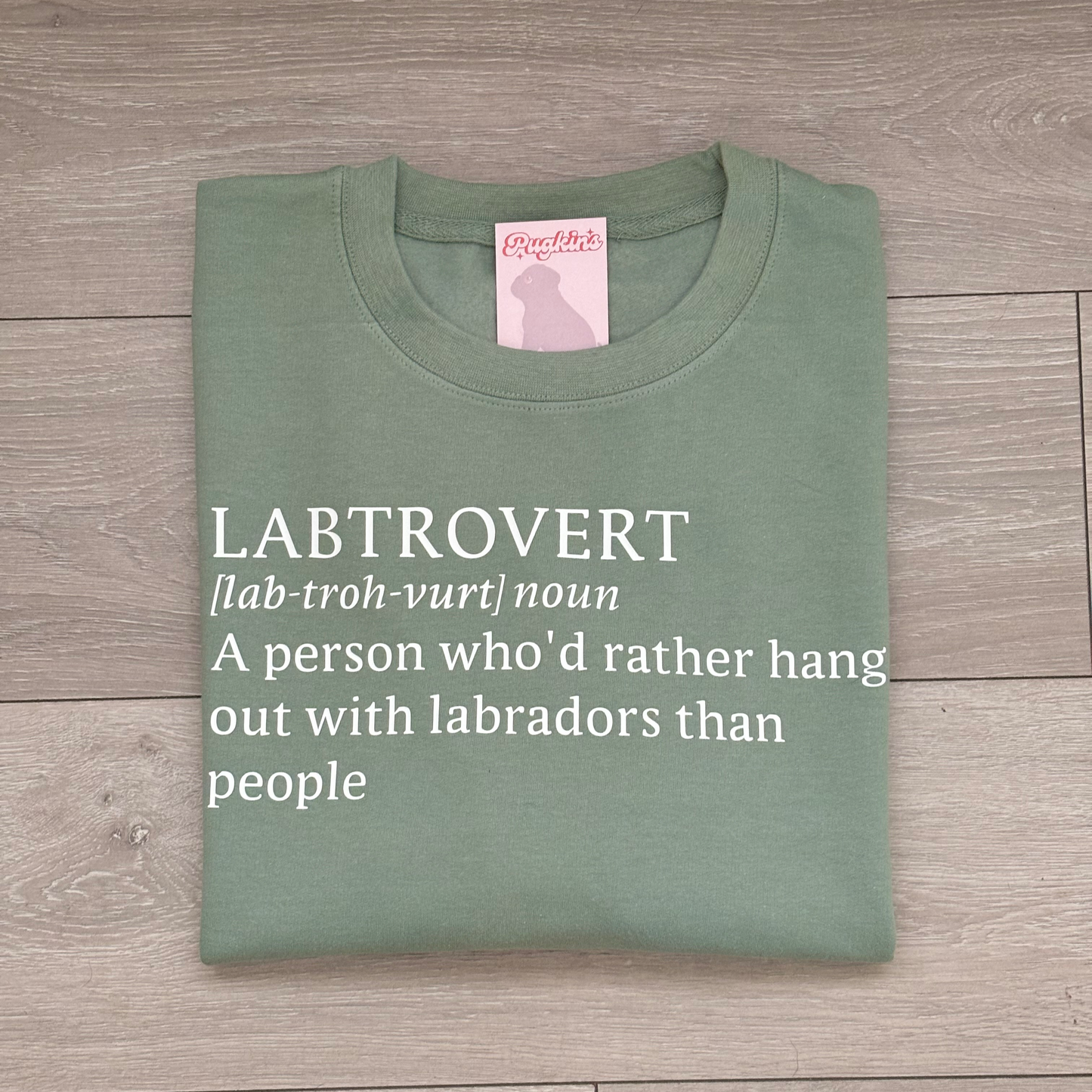 Dogtrovert Sweatshirt